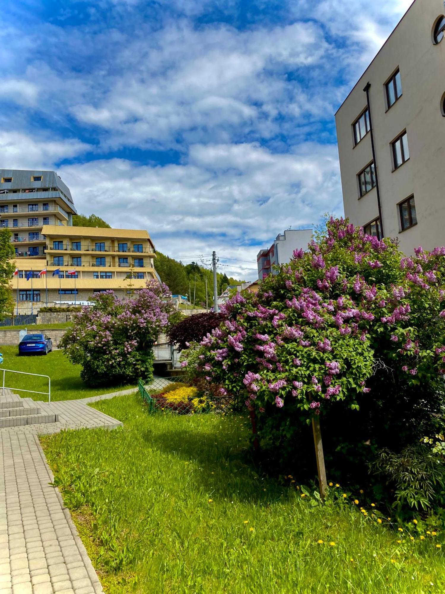 Cristal Apartament Krynica - Zdroj Exterior photo